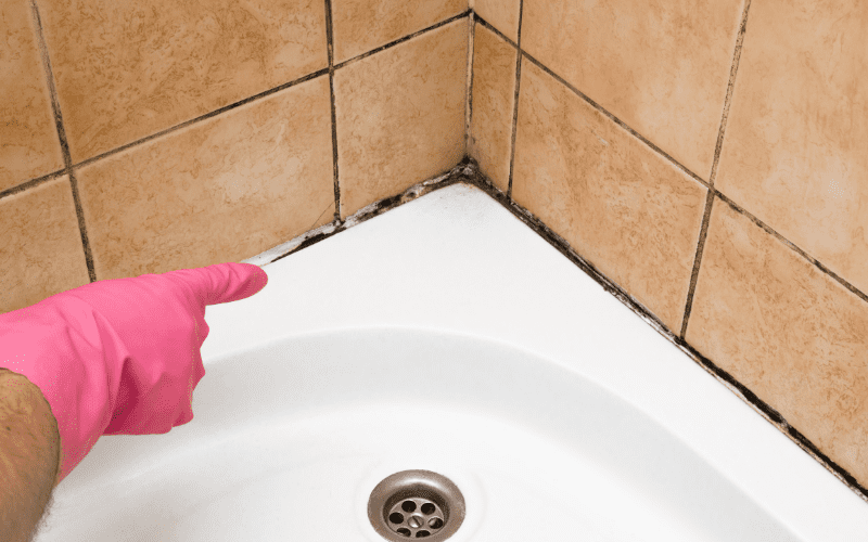 Preventing Bathroom Mold